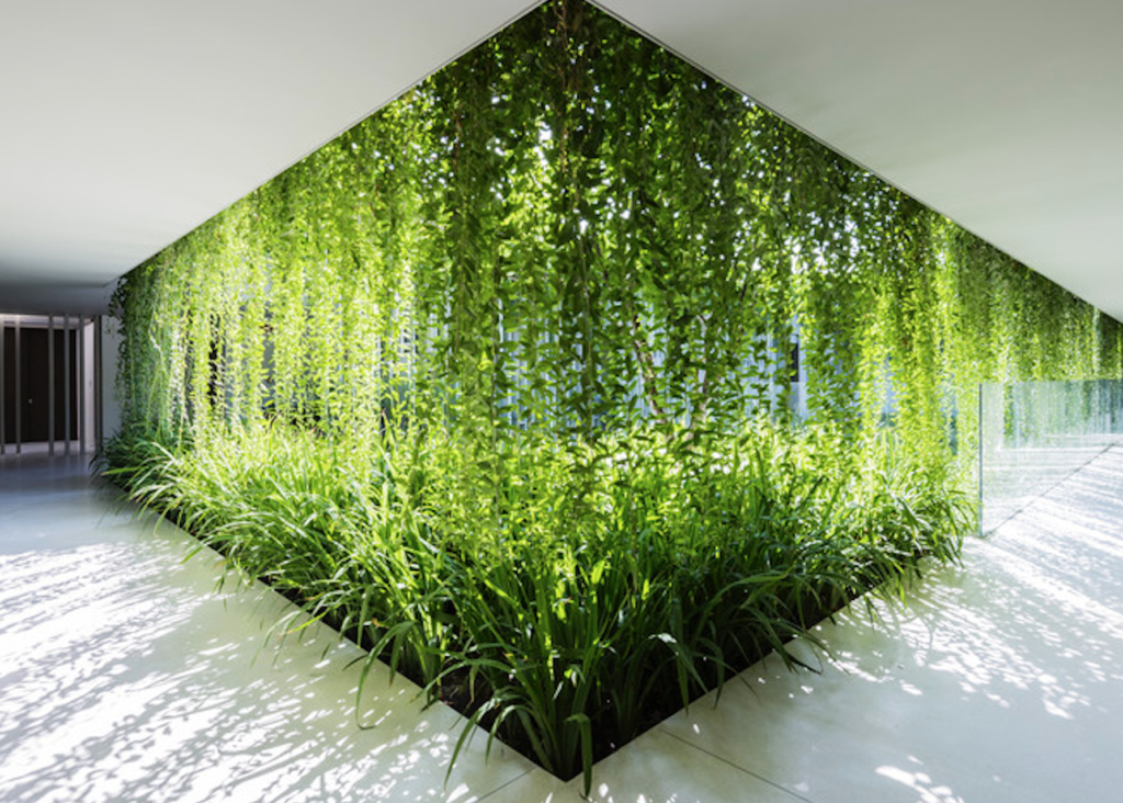 Captura de pantalla 2025-04-05 a la(s) 21.57.42